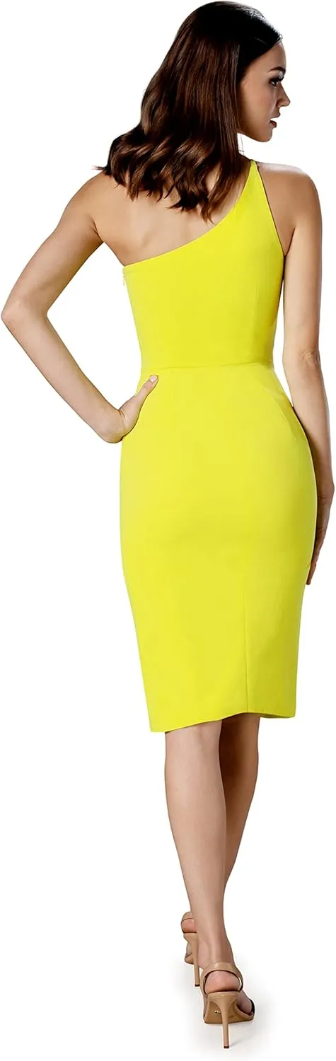 Dress the Population Women's Alexandra Bodycon Midi Dress